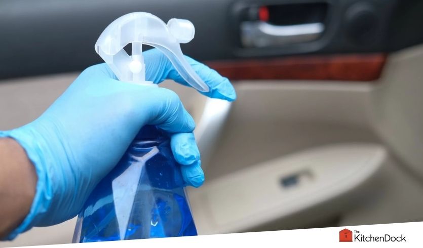 best mold removers for car interior