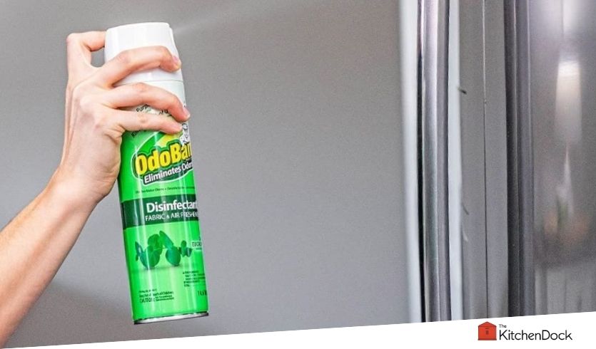 best rv odor eliminator