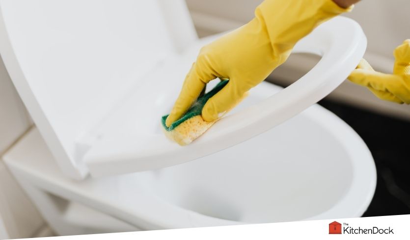 best toilet cleaners for septic systems