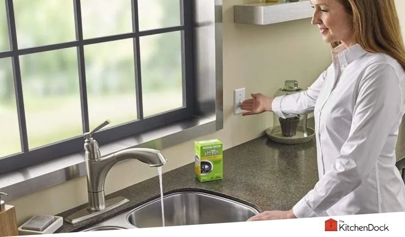 best garbage disposal cleaners