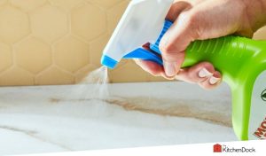 best mold removers