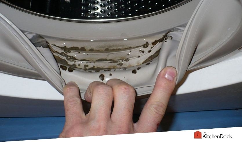 best mold removers for washing machine