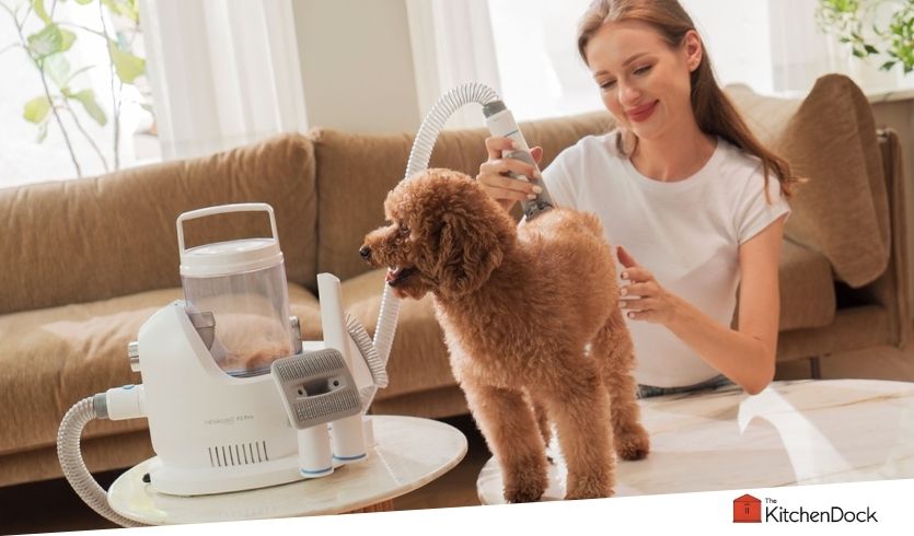 best grooming vacuums for dogs