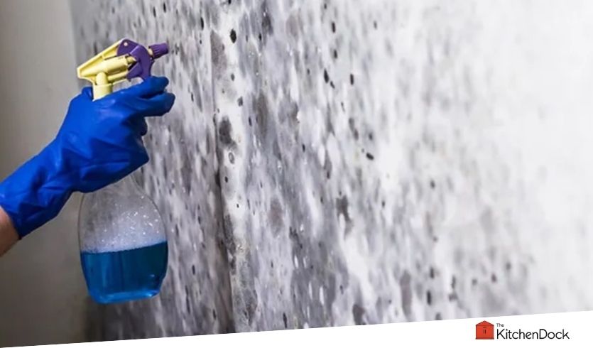 best mold removers for concrete basement walls