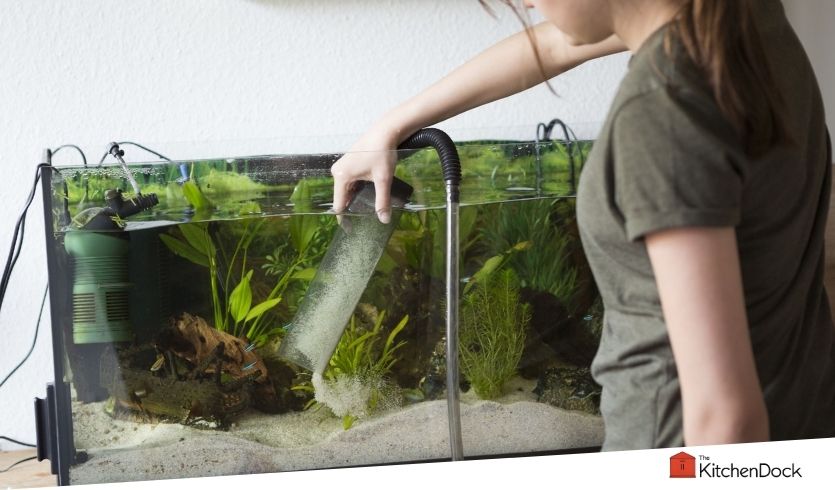 best aquarium vacuums for sand