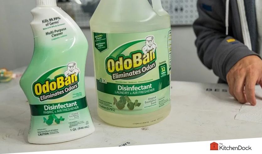 best basement odor eliminators