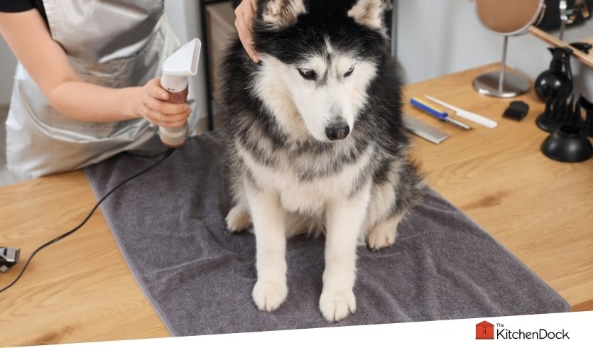 best dog groomer vacuums