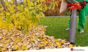 best electric leaf vacuums