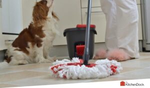 best floor cleaners for pet urine