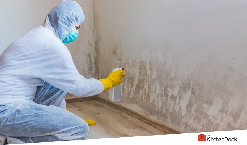 best mold remover sprays