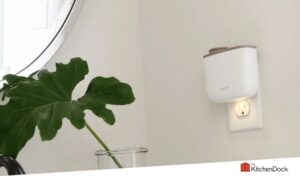 best non toxic air fresheners