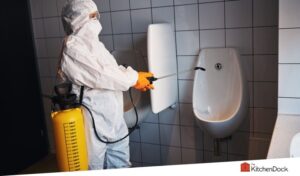 best urinal drain cleaners