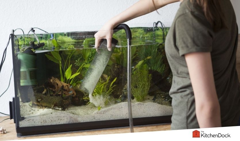 best aquarium gravel vacuums
