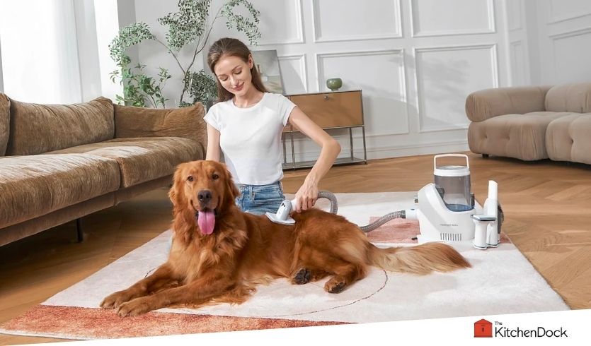 best dog grooming vacuum kits